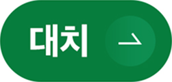 대치