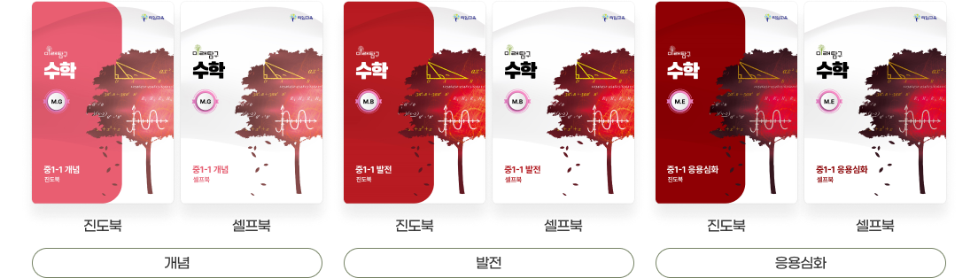 발전/응용심화/심화