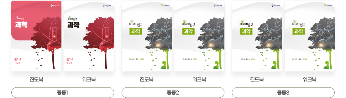 발전/응용심화/심화